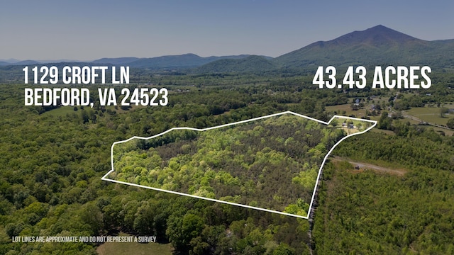 drone / aerial view with a wooded view and a mountain view