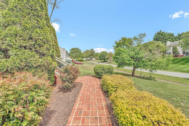 view of grassy yard