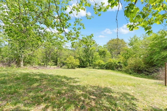 view of yard with a forest view