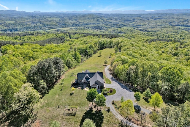 890 Blain Rd, Buchanan, VA 24066 - view of subject property featuring a forest and a mountain backdrop