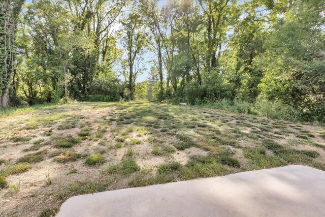 1624 24th St NE, Roanoke, VA 24012 - back of property with a patio and a yard