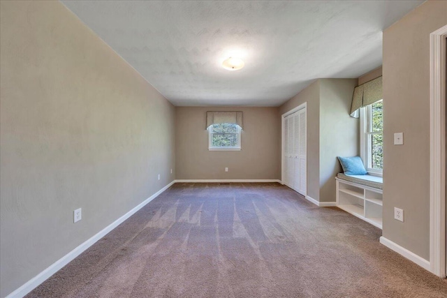 interior space with baseboards and a wealth of natural light