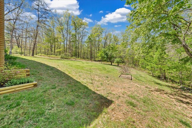view of yard featuring a wooded view
