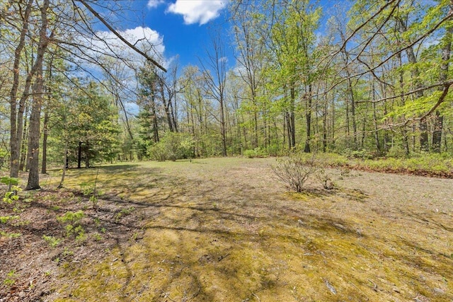 view of local wilderness featuring a view of trees