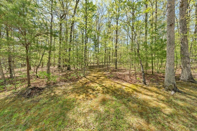 view of nature featuring a wooded view
