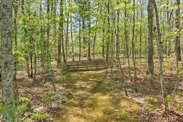 view of local wilderness with a wooded view