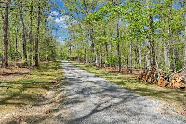 view of street with a forest view