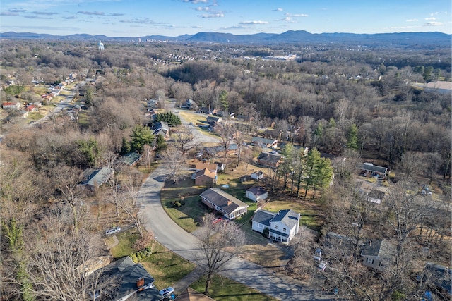 aerial view of a mountain backdrop