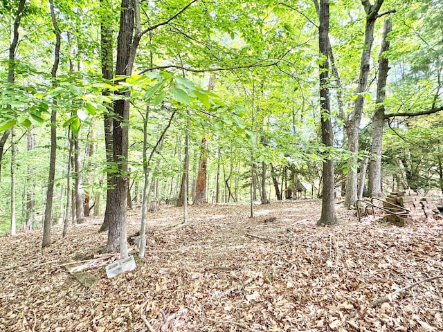 view of nature with a view of trees