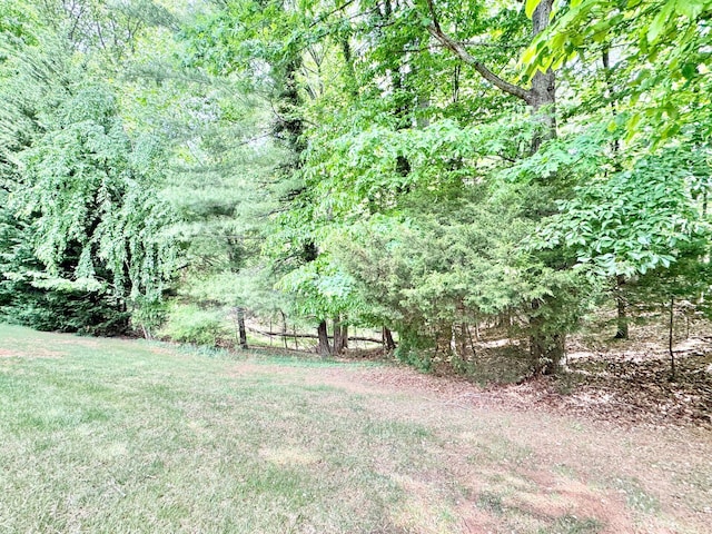 view of yard featuring a wooded view