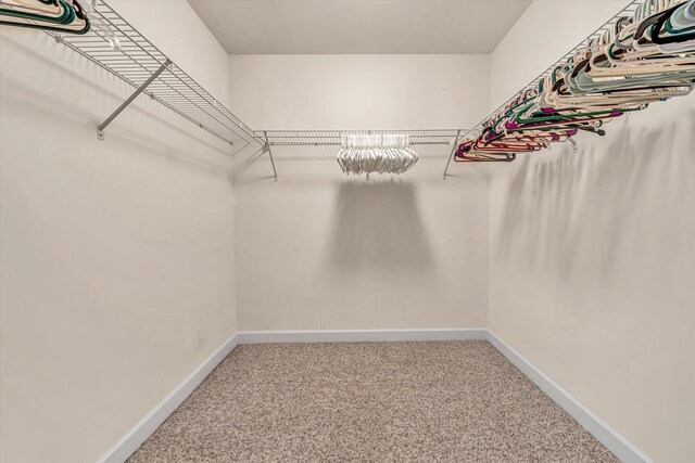 walk in closet featuring carpet