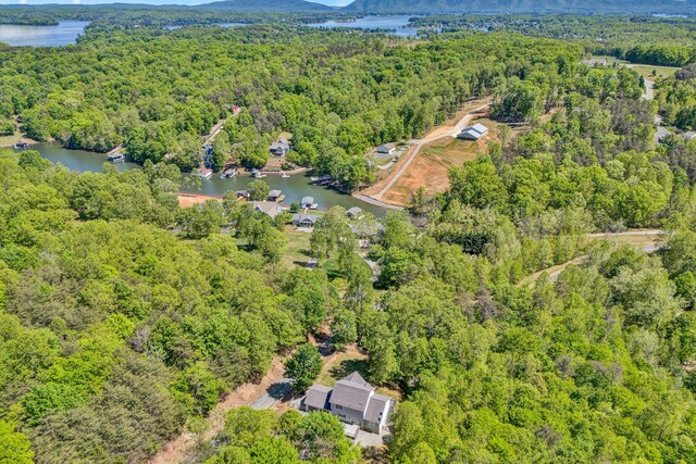 aerial view with a water view and a view of trees