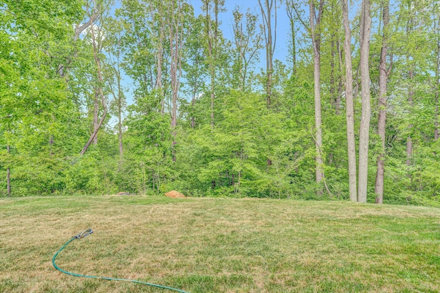 view of yard featuring a forest view