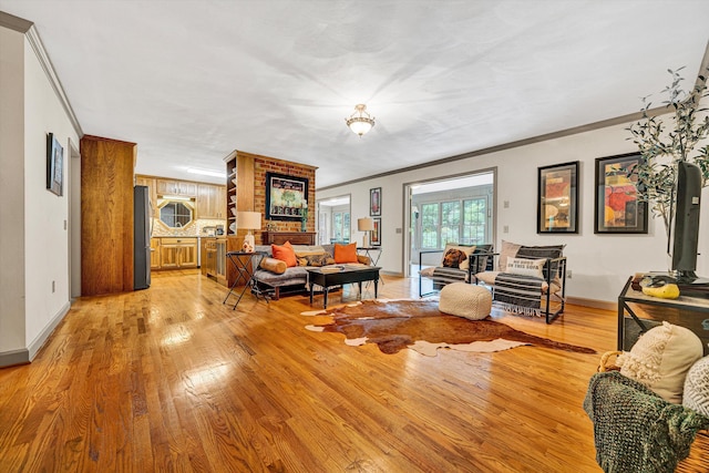 5531 Bethlehem Rd, Boones Mill, VA 24065 - living room featuring light wood-style floors, ornamental molding, and baseboards