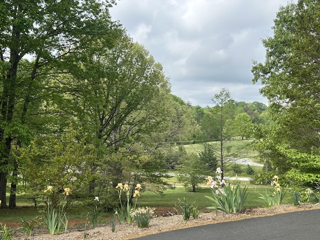 5531 Bethlehem Rd, Boones Mill, VA 24065 - view of yard