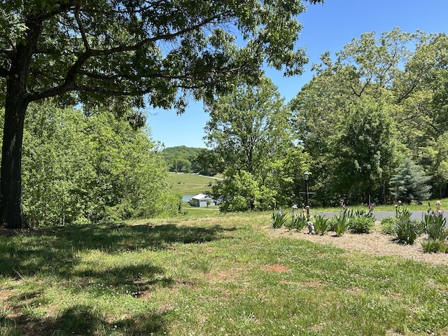 5531 Bethlehem Rd, Boones Mill, VA 24065 - view of yard