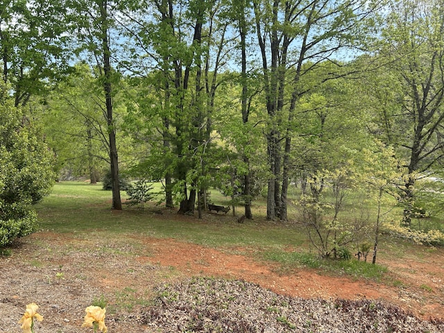 5531 Bethlehem Rd, Boones Mill, VA 24065 - view of yard