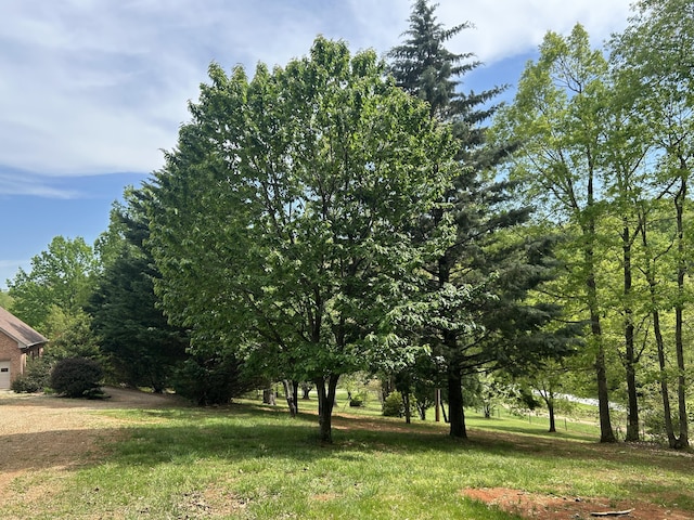 5531 Bethlehem Rd, Boones Mill, VA 24065 - view of yard