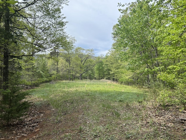 5531 Bethlehem Rd, Boones Mill, VA 24065 - view of yard with a forest view