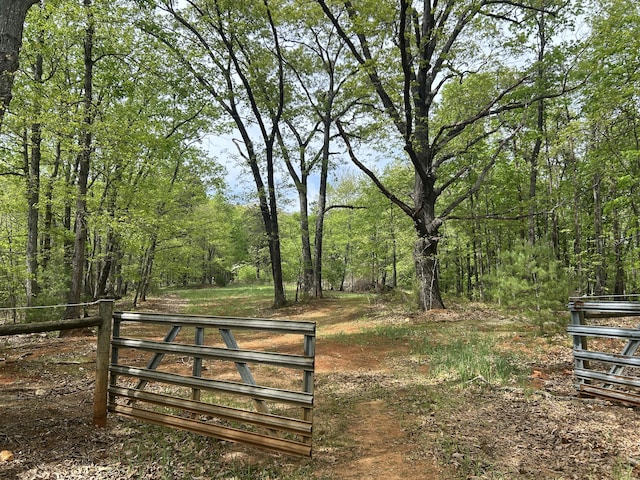 5531 Bethlehem Rd, Boones Mill, VA 24065 - gate with a view of trees