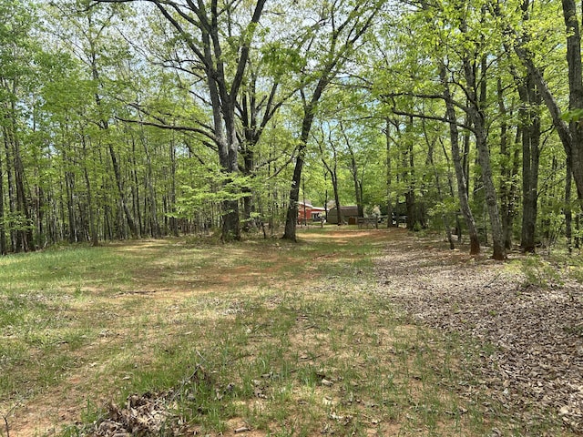 5531 Bethlehem Rd, Boones Mill, VA 24065 - view of yard with a view of trees
