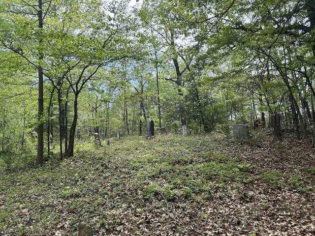 5531 Bethlehem Rd, Boones Mill, VA 24065 - view of wooded area