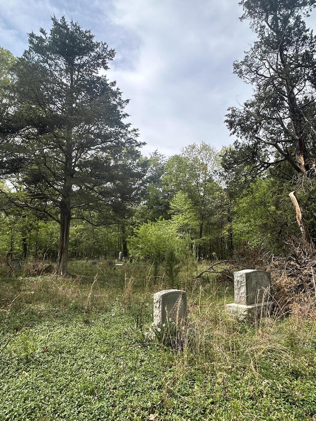 5531 Bethlehem Rd, Boones Mill, VA 24065 - view of yard