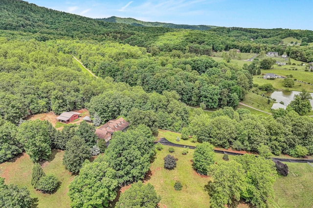 5531 Bethlehem Rd, Boones Mill, VA 24065 - drone / aerial view of a forest and a nearby body of water