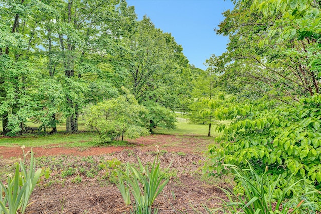 5531 Bethlehem Rd, Boones Mill, VA 24065 - view of yard