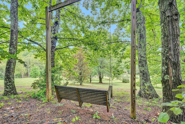 5531 Bethlehem Rd, Boones Mill, VA 24065 - view of property's community