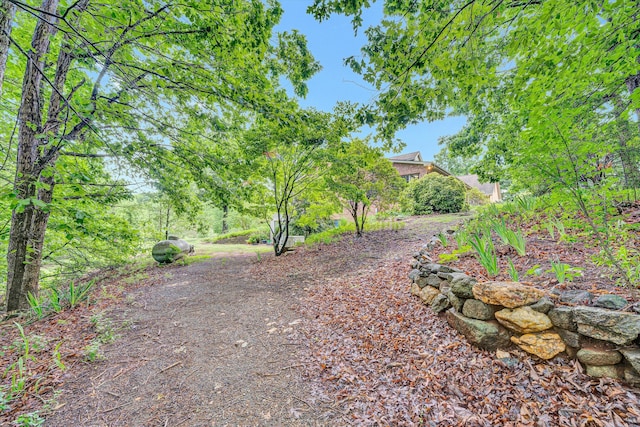 5531 Bethlehem Rd, Boones Mill, VA 24065 - view of yard