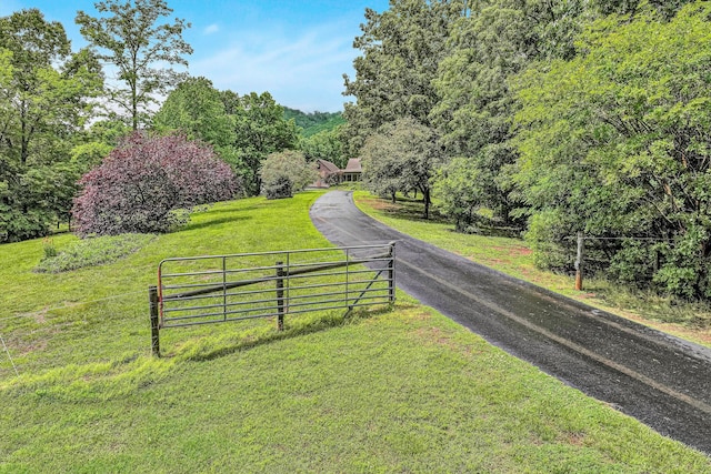 5531 Bethlehem Rd, Boones Mill, VA 24065 - view of asphalt driveway