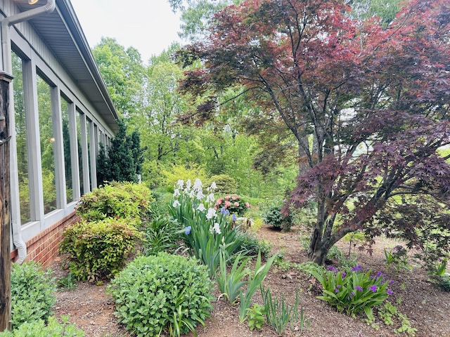 5531 Bethlehem Rd, Boones Mill, VA 24065 - view of yard