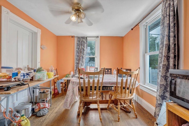 dining space featuring a ceiling fan, baseboards, a wealth of natural light, and wood finished floors