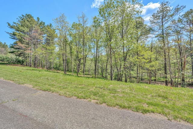 LOT51 Lakewatch Cir, Moneta, VA 24121