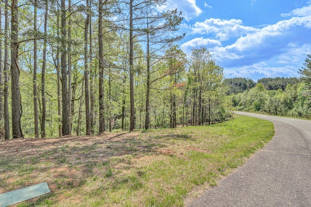 LOT51 Lakewatch Cir, Moneta, VA 24121