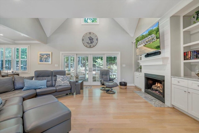400 Heather Ln, Huddleston, VA 24104 - living area featuring a fireplace, light wood-type flooring, plenty of natural light, high vaulted ceiling, and built in features
