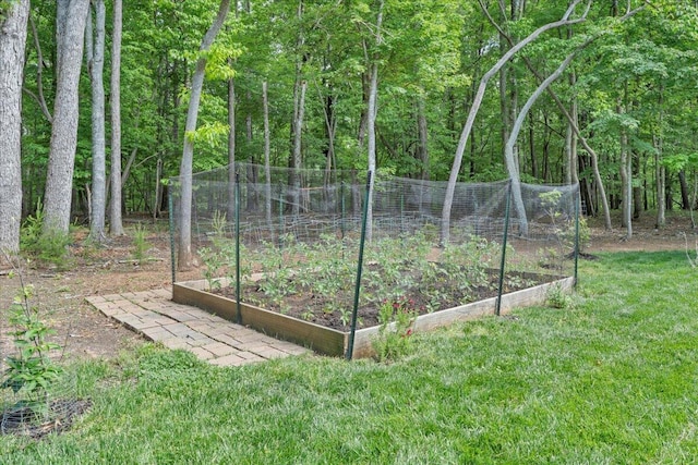 400 Heather Ln, Huddleston, VA 24104 - view of grassy yard with a vegetable garden