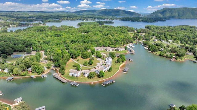 400 Heather Ln, Huddleston, VA 24104 - drone / aerial view of a water and mountain view and a forest