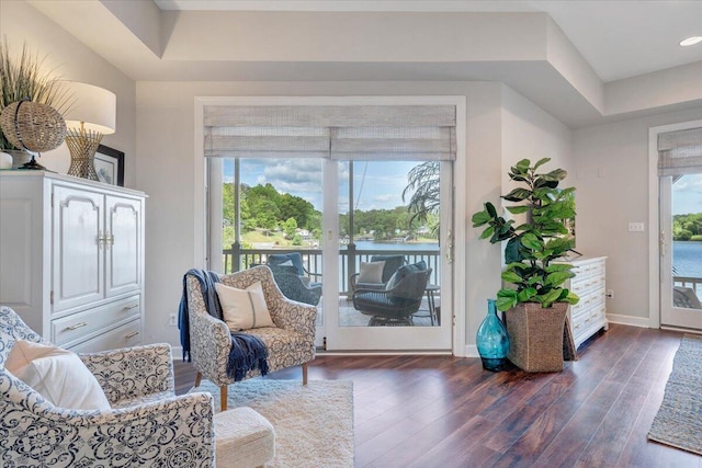living area with baseboards, a wealth of natural light, dark wood finished floors, and a water view