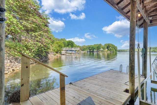 dock area with a water view
