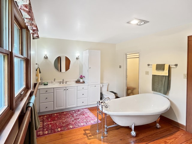 388 Hemlock Ridge Ln, Catawba, VA 24070 - bathroom featuring wood finished floors, a soaking tub, vanity, and healthy amount of natural light