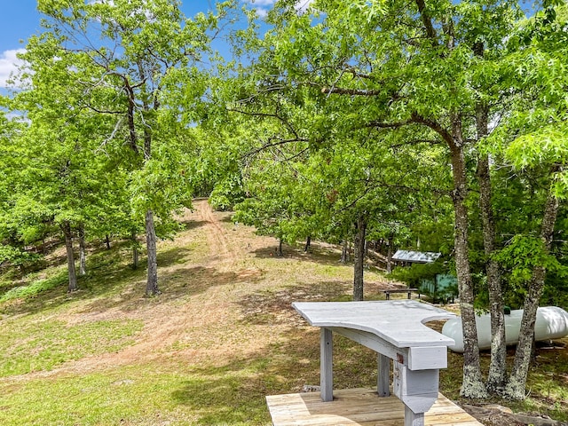 388 Hemlock Ridge Ln, Catawba, VA 24070 - view of community