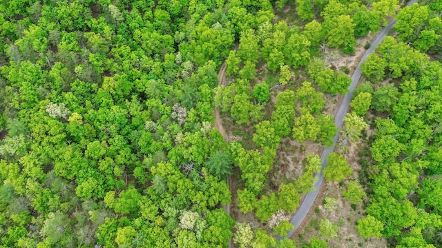 388 Hemlock Ridge Ln, Catawba, VA 24070 - drone / aerial view