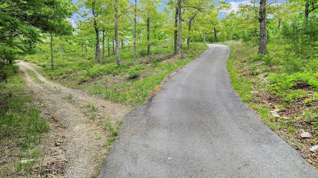 388 Hemlock Ridge Ln, Catawba, VA 24070 - view of street