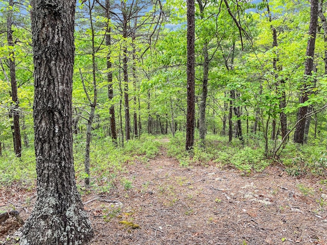388 Hemlock Ridge Ln, Catawba, VA 24070 - view of tree filled area