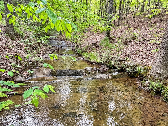 388 Hemlock Ridge Ln, Catawba, VA 24070 - view of undeveloped land