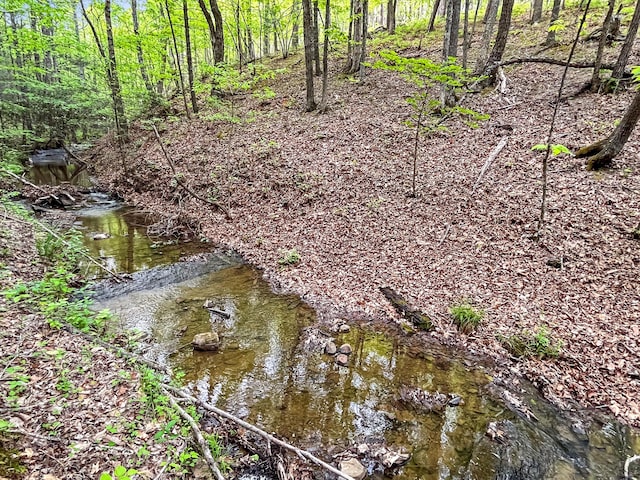 388 Hemlock Ridge Ln, Catawba, VA 24070 - view of nature