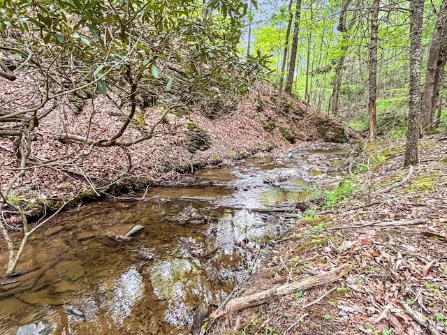388 Hemlock Ridge Ln, Catawba, VA 24070 - view of local wilderness