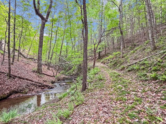 388 Hemlock Ridge Ln, Catawba, VA 24070 - view of nature